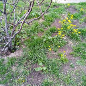 Природа просыпается!)
Nature wakes up!) at The Slice Pizza in Moscow