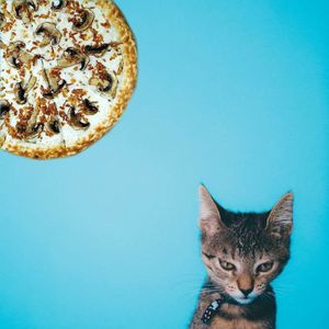 Вышел из отпуска и что-то настроения работать нет(
Back from vacation and kind of mood to work( at The Slice Pizza in Moscow