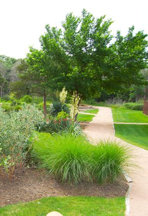 Cedar Creek walking path at Optimum Health Institute in Cedar Creek