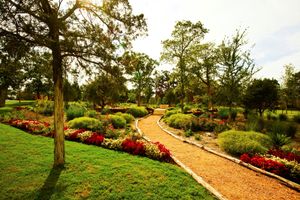 Walking Trails at Optimum Health Institute in Cedar Creek