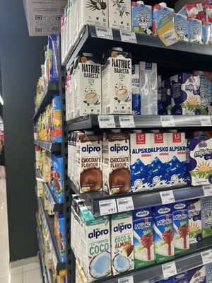   at Shopping Centre Kamelija in Kotor