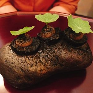 Four course set, course one! at Soseek in Seoul