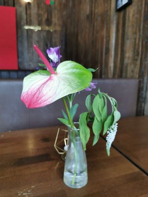  at Apple & Eve in Hamburg