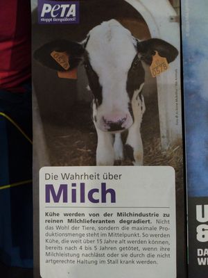 Info at Apple & Eve in Hamburg