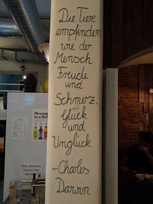 Darwin at Apple & Eve in Hamburg