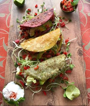 Our house made Vegan tacos  ...beetroot, carrot and spinach served with vegan sour cream, slasa and guac ..... at The Vegan Table in Phuket
