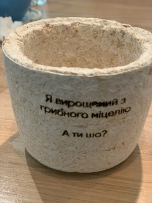 Made from some part of mushrooms  at All True East in Kyiv