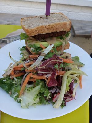 Vegan falafel sandwich with salad at Zest Cafe & Bar in Ramsgate
