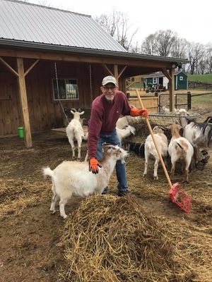 NJveg volunteer day, Goats of Anarchy, Hampton, NJ, 5/2019 at NJveg in Pemberton