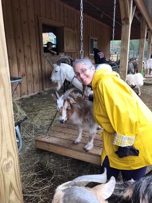 NJveg volunteer day, Goats of Anarchy, Hampton, NJ, 5/2019 at NJveg in Pemberton