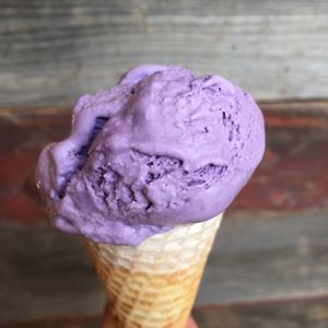 Vegan ube (purple yam) ice cream! So delicious!  at Nick's on Grand in South San Francisco