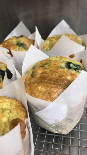 Vegan muffin at Cafe Maldon in Maldon