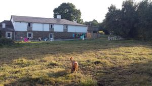 The garden of albergue Ponte Ferreira at Albergue Ponte Ferreira in Palas De Rei