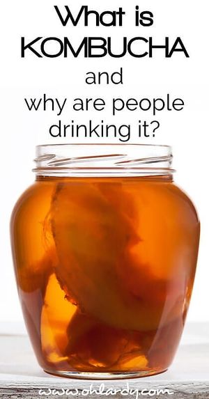 Kombucha in 14 exciting organic flavours at Sapporo Japanese Restaurant in Kathmandu