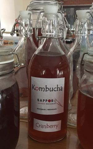 kombucha at Sapporo Japanese Restaurant in Kathmandu
