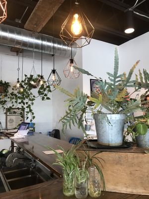Gorgeous space at Urban Beets Cafe & Juicery in Wauwatosa
