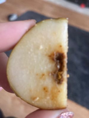 This
Should not have been set out as edible  at Indigo Greens in Liverpool