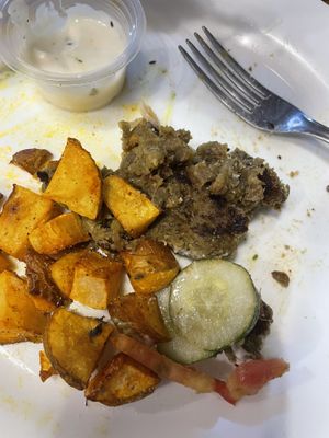 Burger patty was mush that fell apart as I ate  at Green Lovers in Santa Cruz