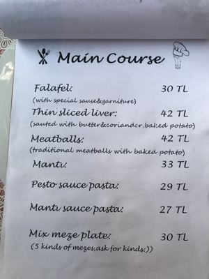 Mains - only 2 options were vegan-izable :/ at Dudu Mutfak in Kas