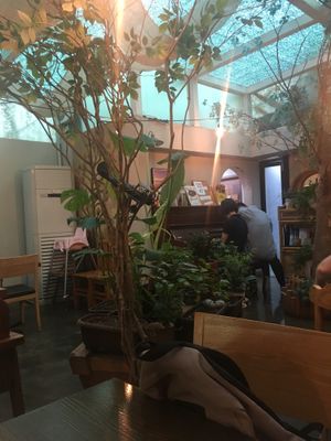 Inside, there is a piano and lots of (real? fake?) plants at Newyork B&C in Seoul