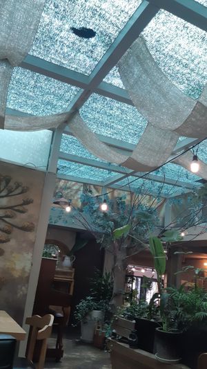  at Newyork B&C in Seoul