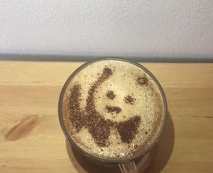 Hot chocolate   at Vital Cafe in Leeds