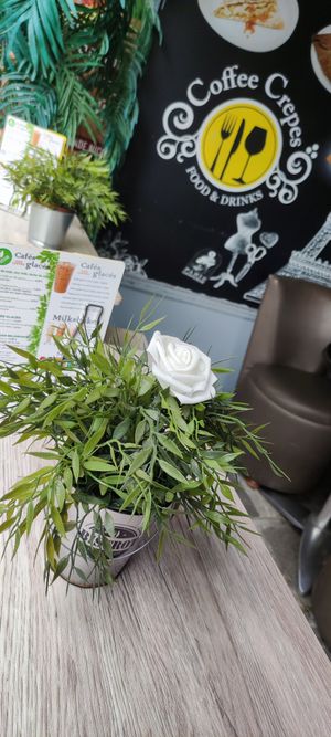 Deco at Coffee Crepes in Paris