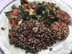 Lentils, fattoush, and tabouli with falafel at Neomonde Mediterranean in Durham