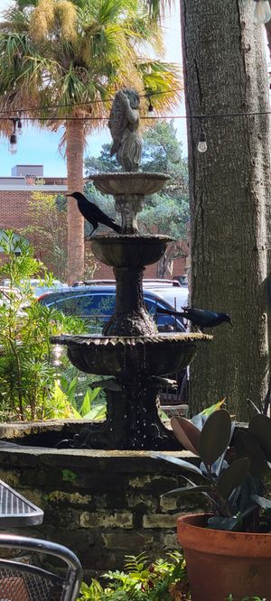  at Cafe Karibo in Fernandina Beach