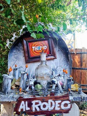 Decoración anti Rodeo   at Recuerdos del Cajon del Maipo - La Vegana con Ganas in San Jose De Maipo