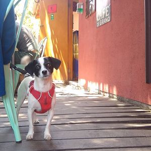  at Recuerdos del Cajon del Maipo - La Vegana con Ganas in San Jose De Maipo