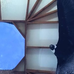  at Recuerdos del Cajon del Maipo - La Vegana con Ganas in San Jose De Maipo