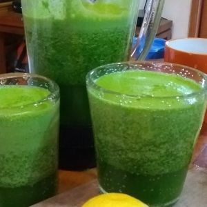  at Recuerdos del Cajon del Maipo - La Vegana con Ganas in San Jose De Maipo