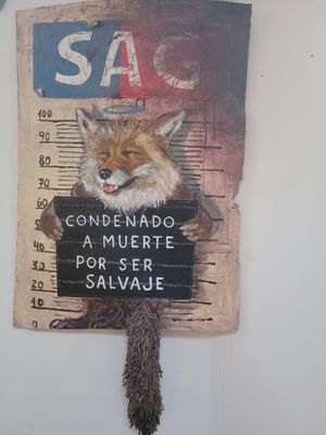 Zorro culpeo chileno at Recuerdos del Cajon del Maipo - La Vegana con Ganas in San Jose De Maipo