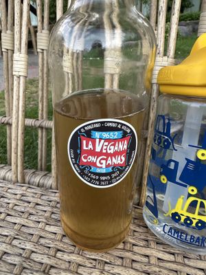 Kombucha   at Recuerdos del Cajon del Maipo - La Vegana con Ganas in San Jose De Maipo