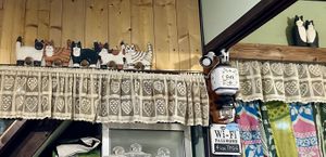 Cute cats  at Ramuna in Nara