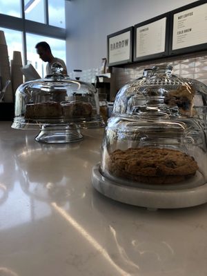 All vegan baked good their MRU café at Barrow Coffee Roasters in Calgary