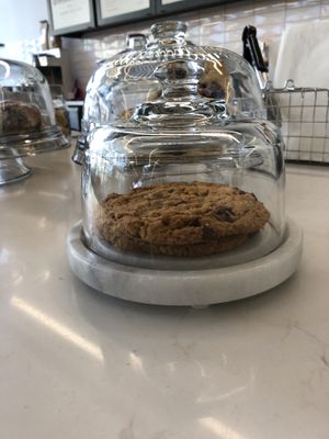 All vegan baked good their MRU café at Barrow Coffee Roasters in Calgary