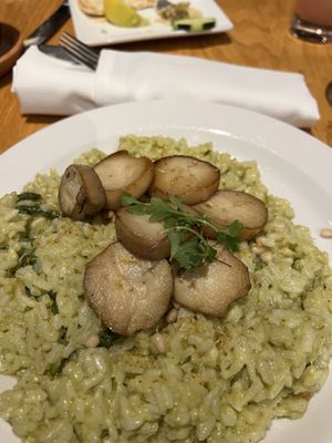 The Texture & Meatiness of the Mushroom Scallops is UNMATCHED! 🤤   at Irregardless Cafe in Raleigh