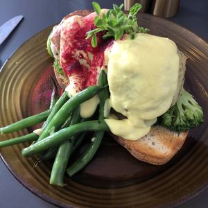 Vegan Benny  at The Rose in Adelaide