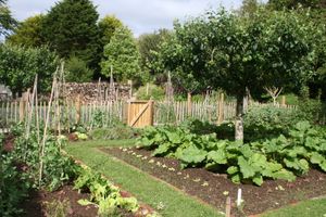 vegetable garden at Potager Garden Café in Falmouth
