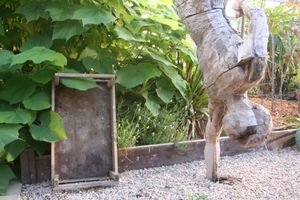 Potager man at Potager Garden Café in Falmouth