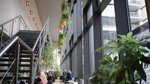 Inside of the restaurant at Balance Deli in Frankfurt