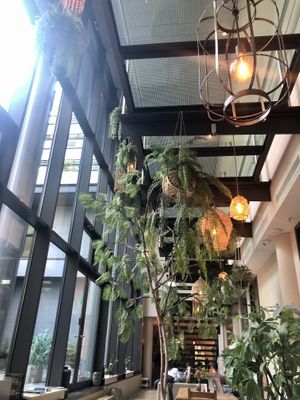 Sieht klasse aus - schade, dass es keine echten  Pflanzen sind at Balance Deli in Frankfurt