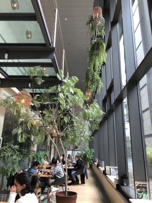 Interior  at Balance Deli in Frankfurt