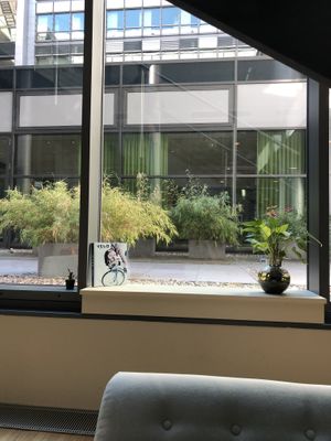 view in backyard   at Balance Deli in Frankfurt