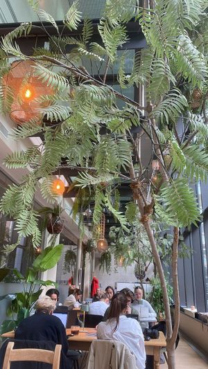 Cafe space - lots of lovely plants.  at Balance Deli in Frankfurt
