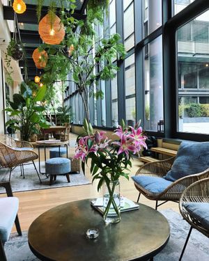 Relaxing location at Balance Yoga Studio at Balance Deli in Frankfurt