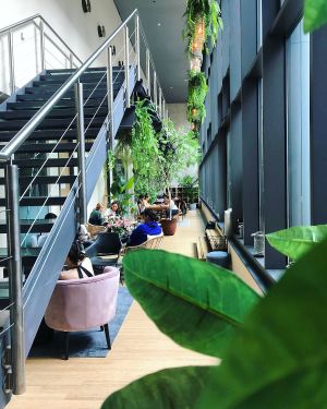 Urban Jungle at Balance Deli in Frankfurt