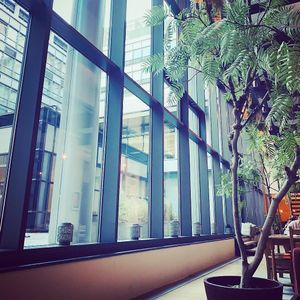 Beautiful interior  at Balance Deli in Frankfurt